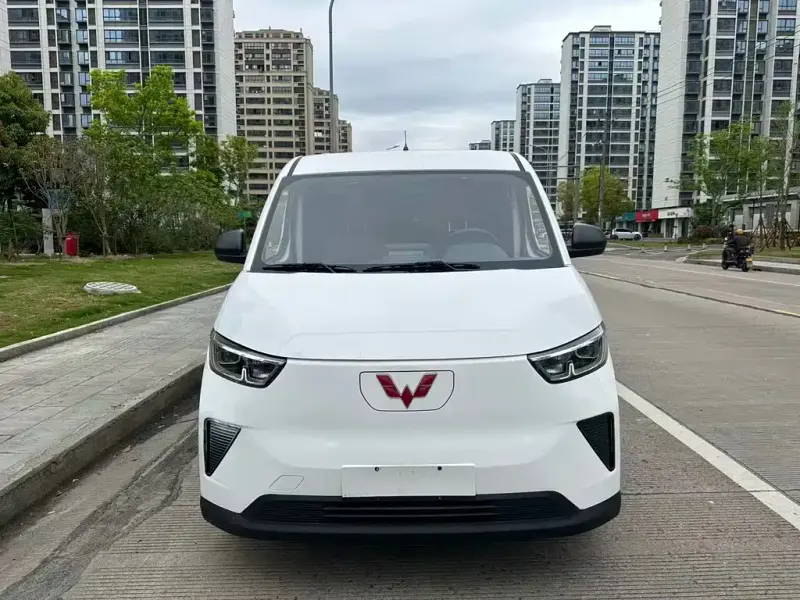 Wuling Yangguang, 2024