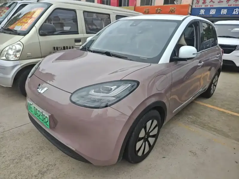 Wuling Bingo, 2023