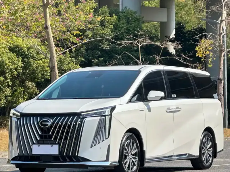 GAC Motor Trumpchi M8, 2024