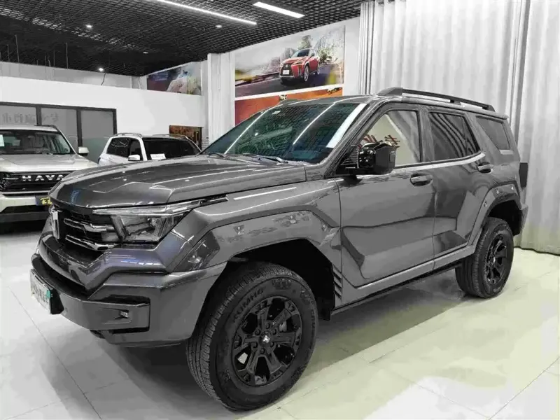 Tank 400 New Energy, 2024