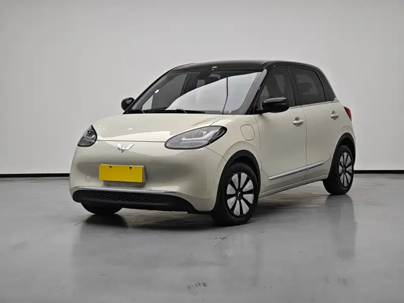 Wuling Bingo, 2024