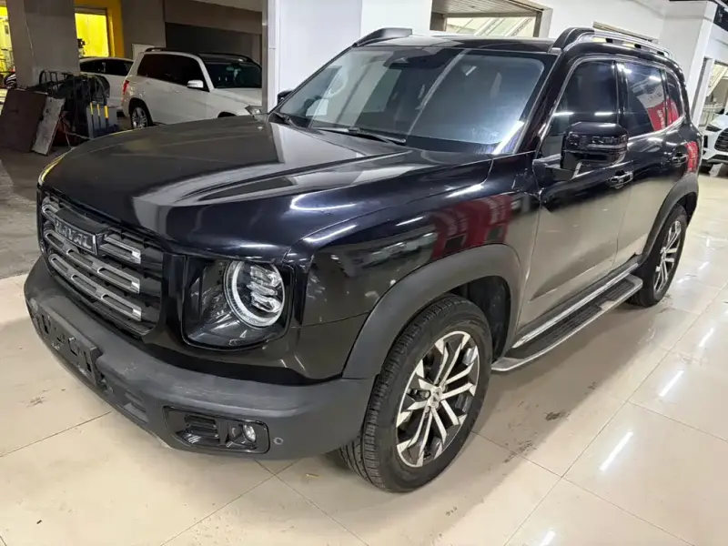Haval Big Dog, 2021