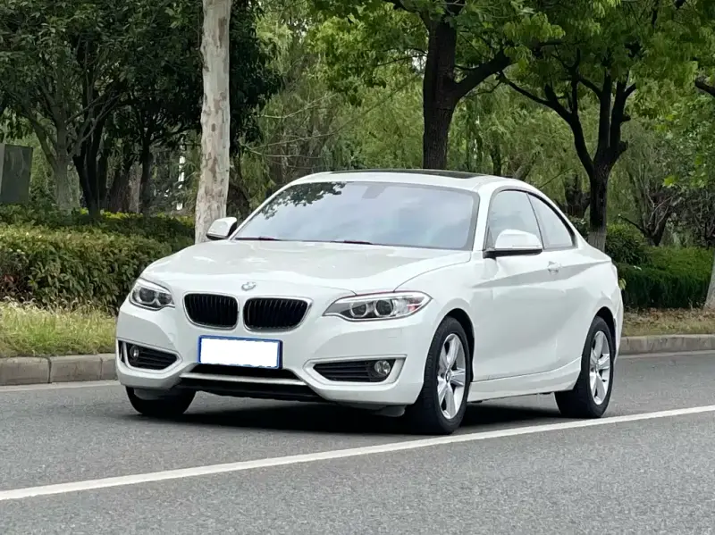 BMW 2 Series (Import), 2016