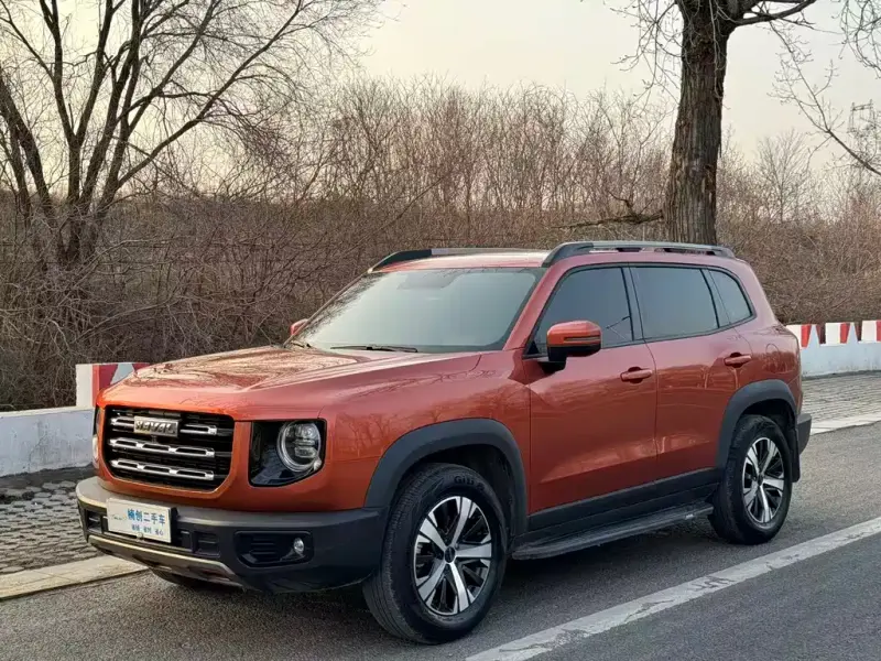 Haval Big Dog, 2020