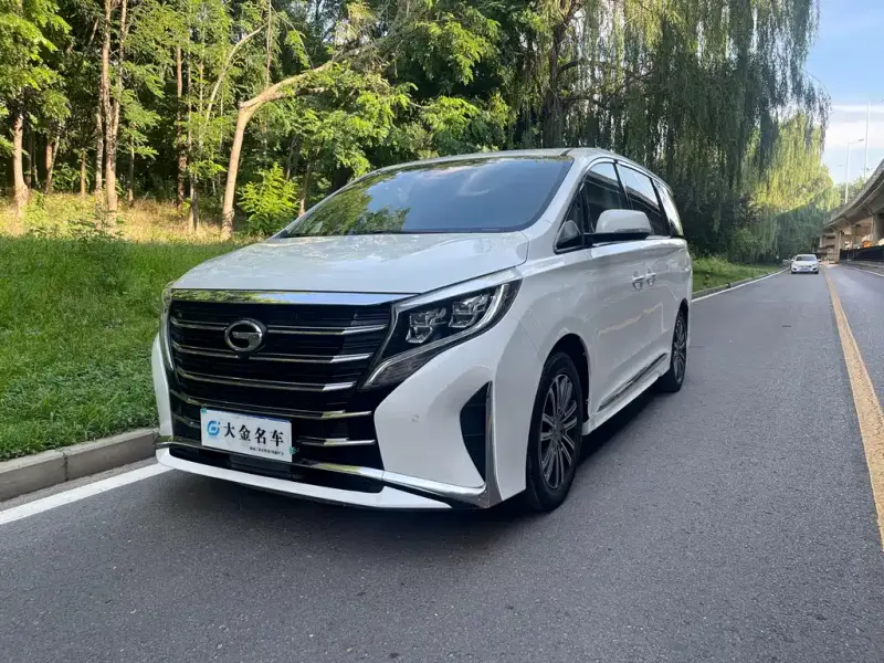 GAC Motor Trumpchi M8, 2021