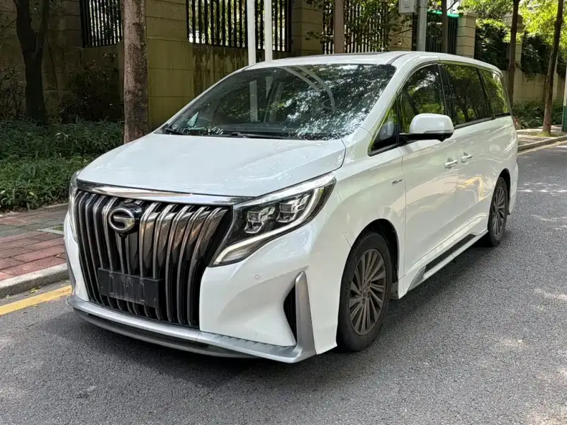 GAC Motor Trumpchi M8, 2021