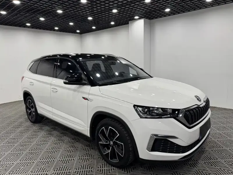Skoda Kamiq, 2022