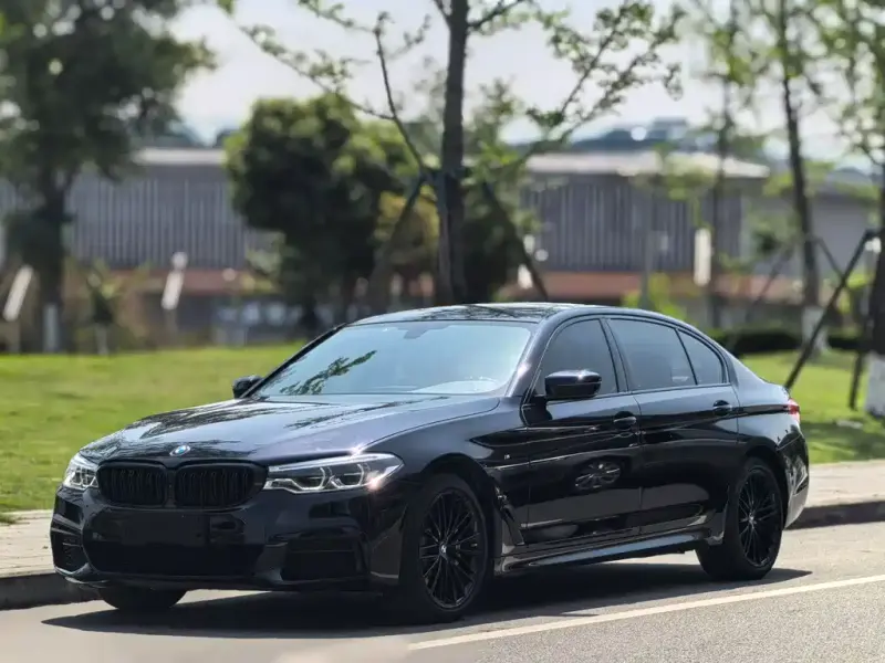 BMW 5 Series, 2019