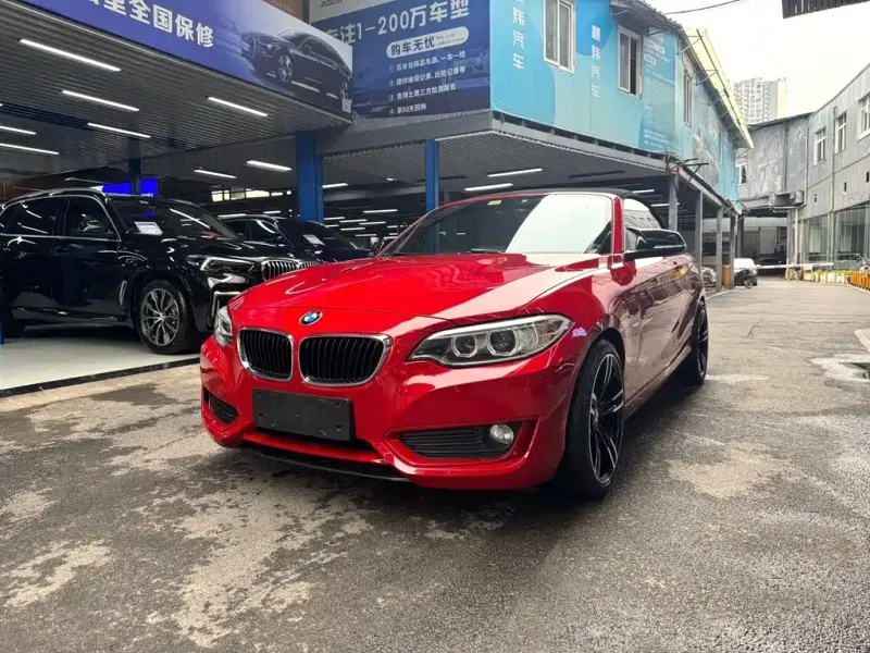 BMW 2 Series (Import), 2017