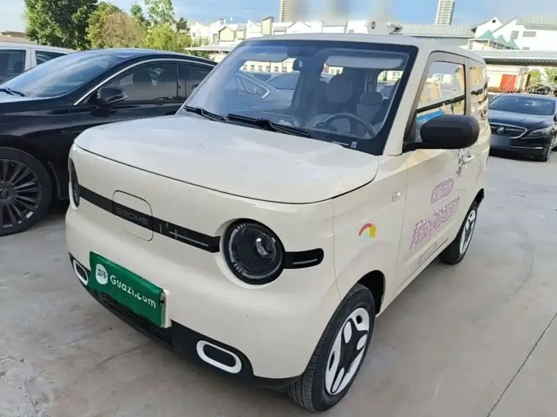 Galaxy Panda, 2025