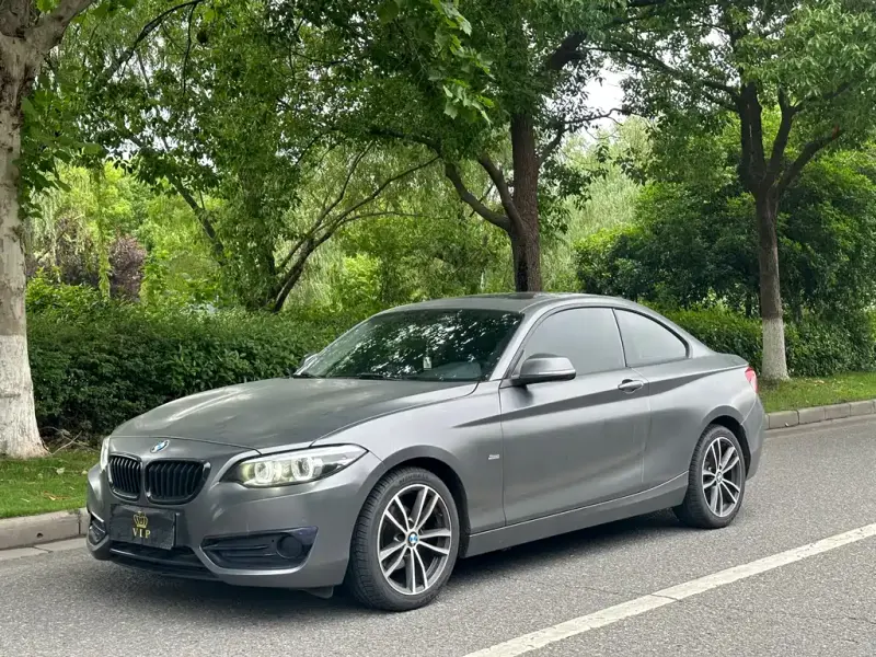 BMW 2 Series (Import), 2018