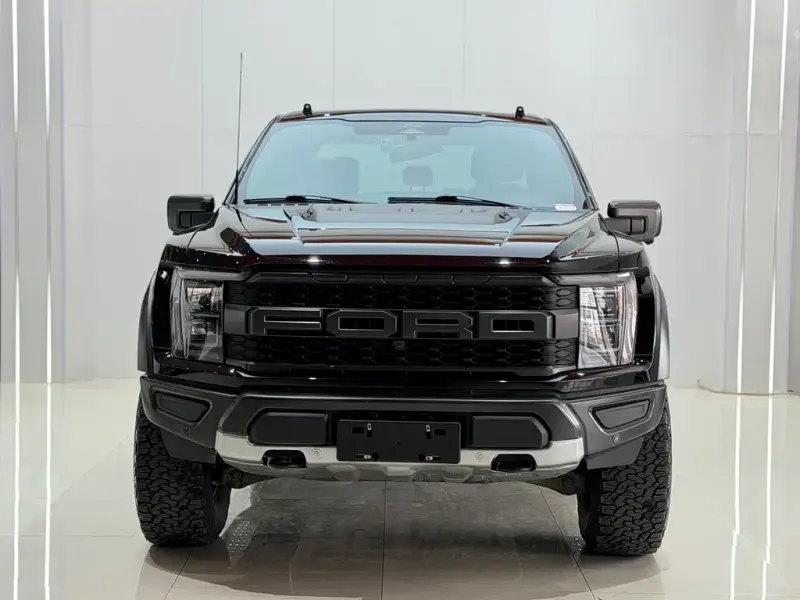 Ford F-150 Raptor, 2024