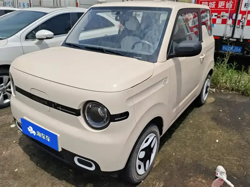 Galaxy Panda, 2025