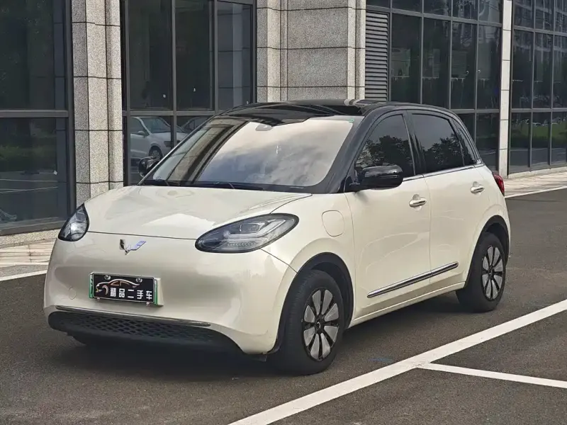 Wuling Bingo, 2024