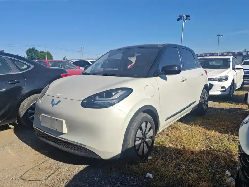 Wuling Bingo, 2023