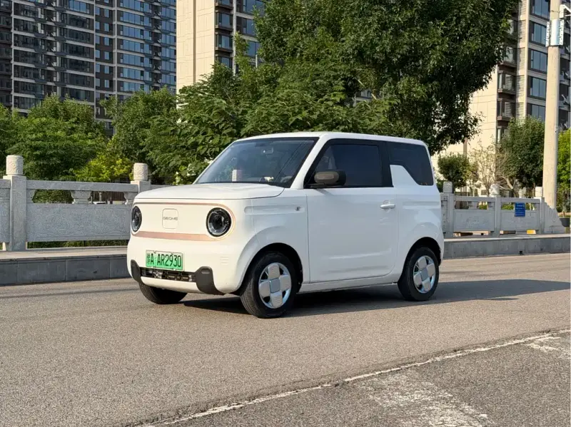 Galaxy Panda, 2024