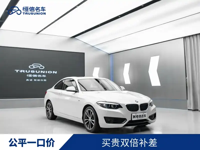 BMW 2 Series (Import), 2019