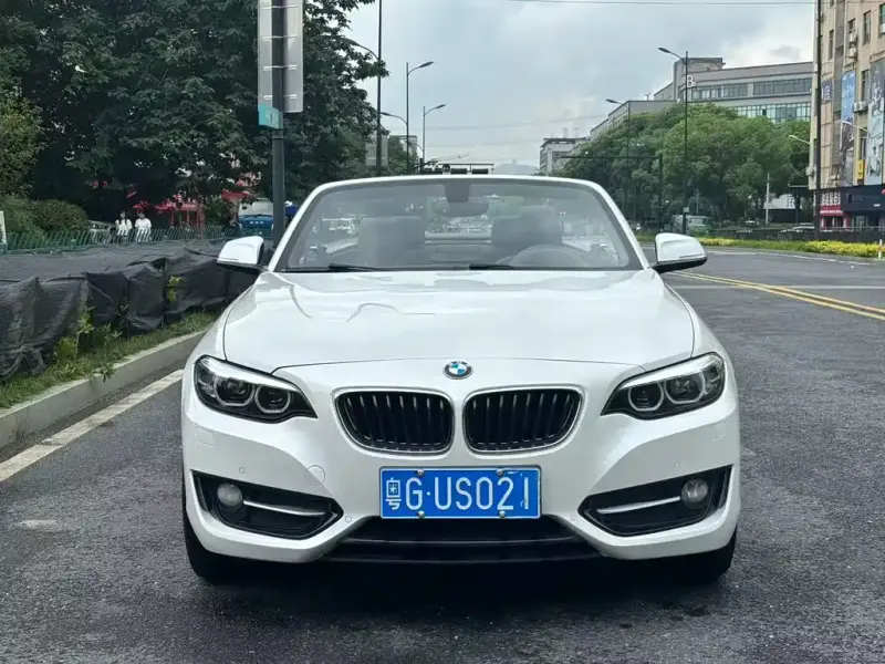 BMW 2 Series (Import), 2020