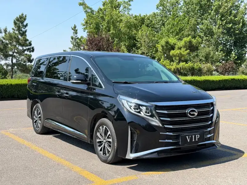 GAC Motor Trumpchi M8, 2021