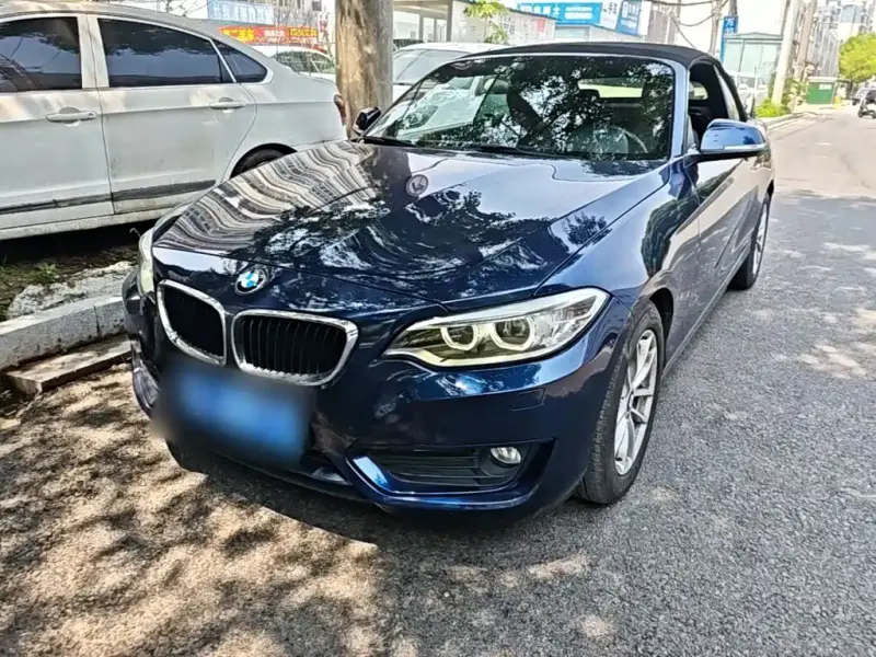 BMW 2 Series (Import), 2017