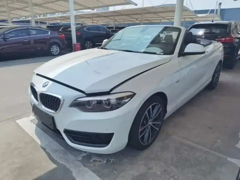 BMW 2 Series (Import), 2018