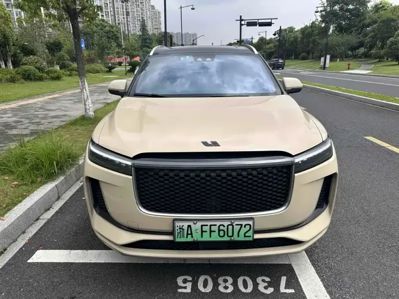 Li Auto Li ONE, 2020