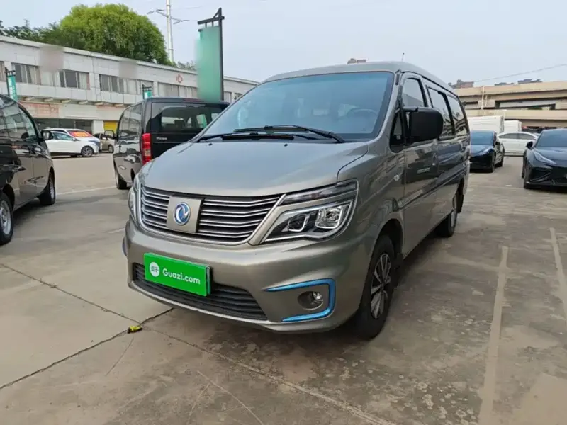 Fengxing Lingzhi New Energy, 2020