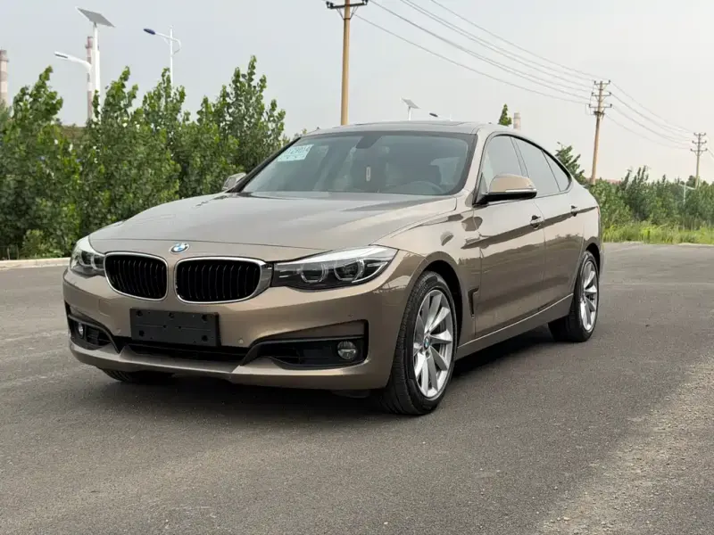 BMW 3 Series GT, 2019 — фото 1