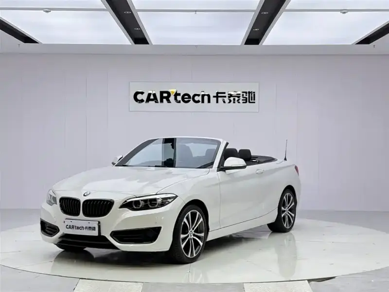 BMW 2 Series (Import), 2019