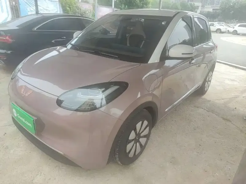 Wuling Bingo, 2024