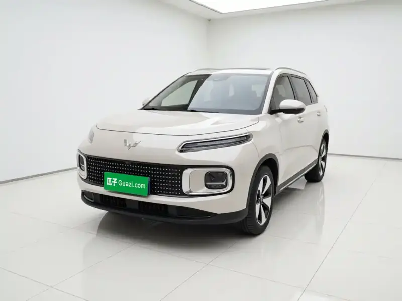 Wuling Xingyun, 2024