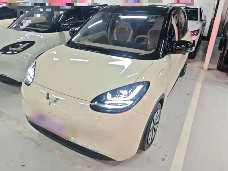 Wuling Bingo, 2025