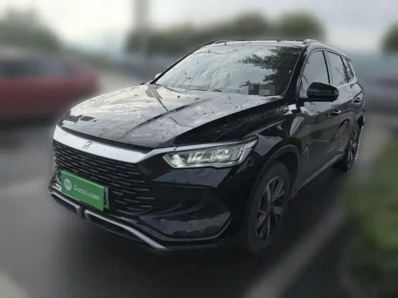 BYD Pro New Energy, 2024 — фото 1