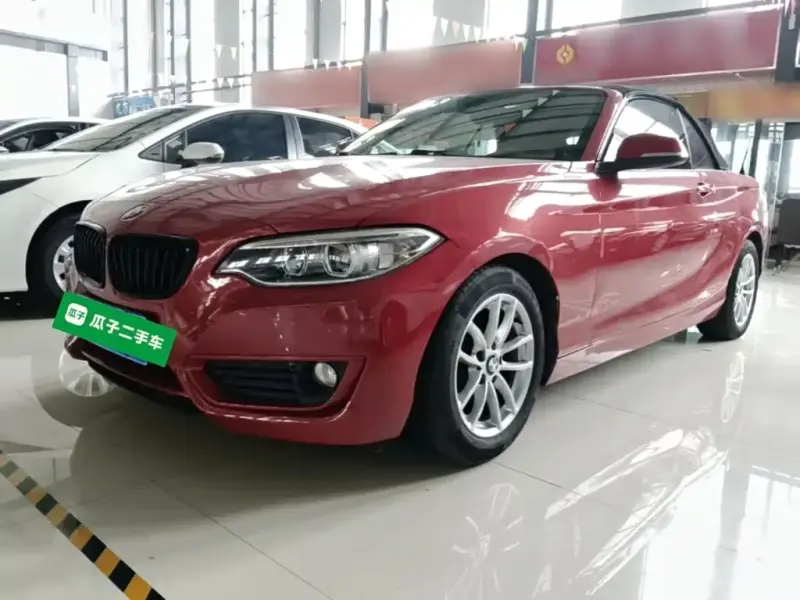 BMW 2 Series (Import), 2016