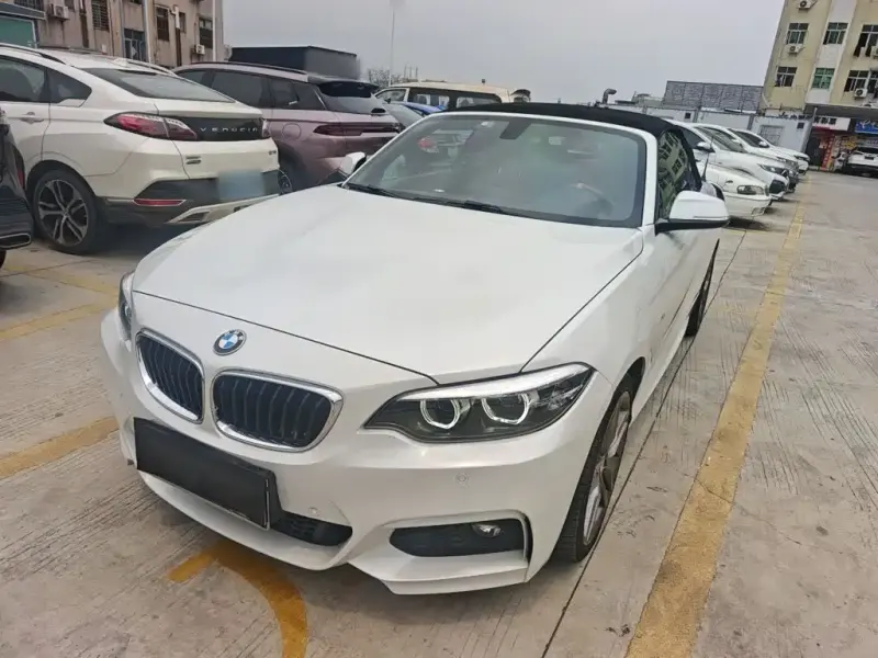 BMW 2 Series (Import), 2019