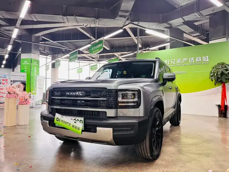 Haval Menglong New Energy, 2025