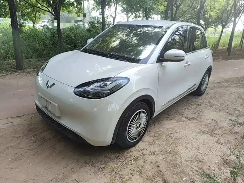 Wuling Bingo, 2023