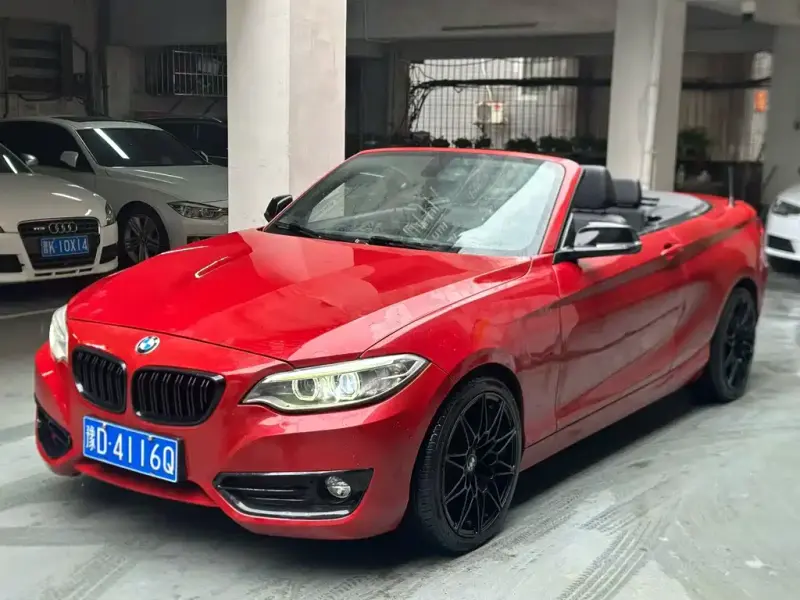BMW 2 Series (Import), 2017