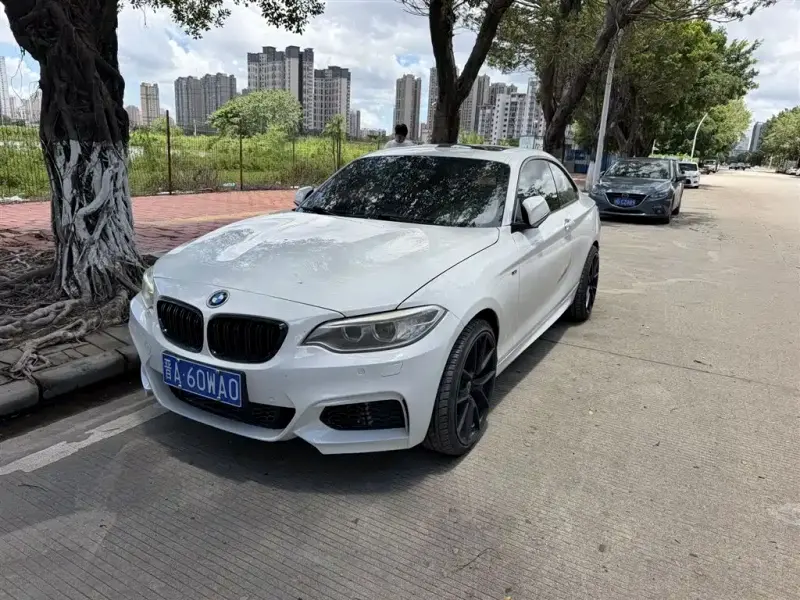 BMW 2 Series (Import), 2014