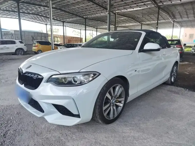 BMW 2 Series (Import), 2017