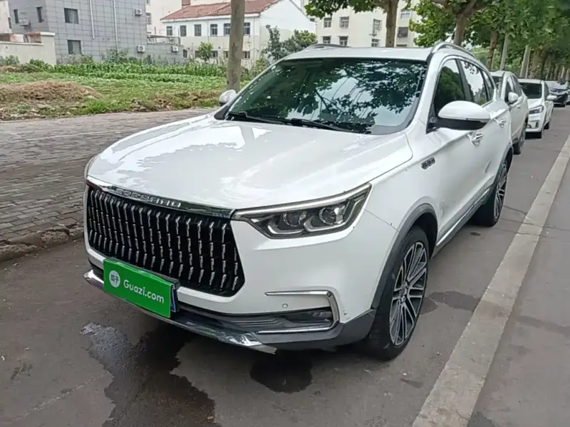 Leopaard Mattu, 2019