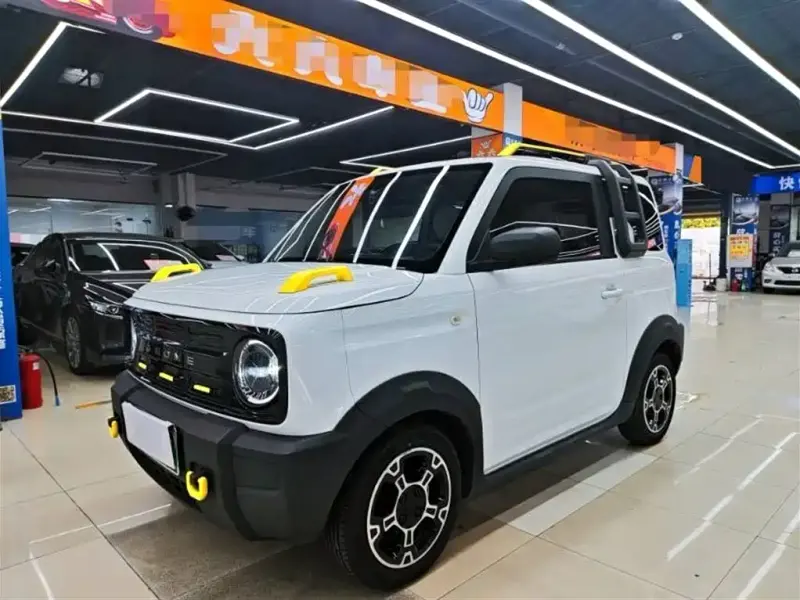 Galaxy Panda, 2025