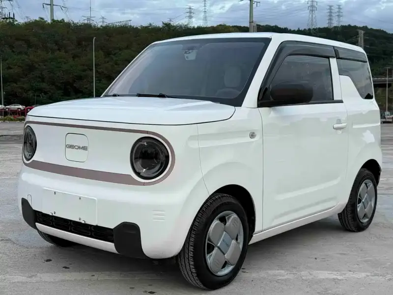 Galaxy Panda, 2024