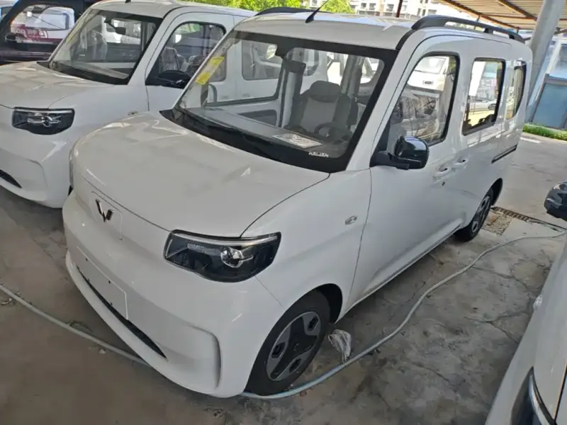 Wuling Zhiguang EV, 2026