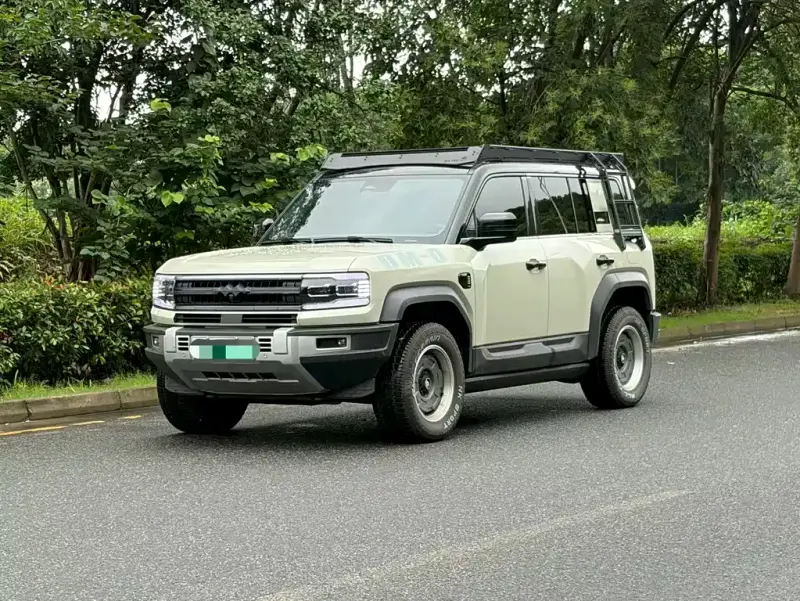 Fang Cheng Bao Leopard 5, 2024