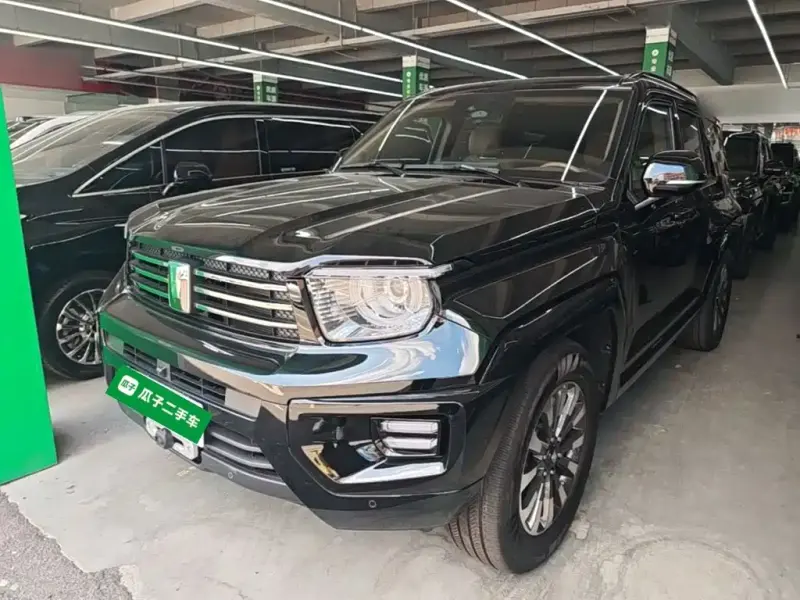 Tank 700 New Energy, 2024