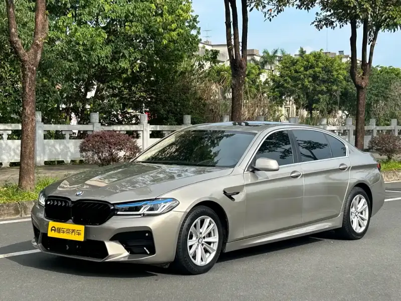 BMW 5 Series, 2010