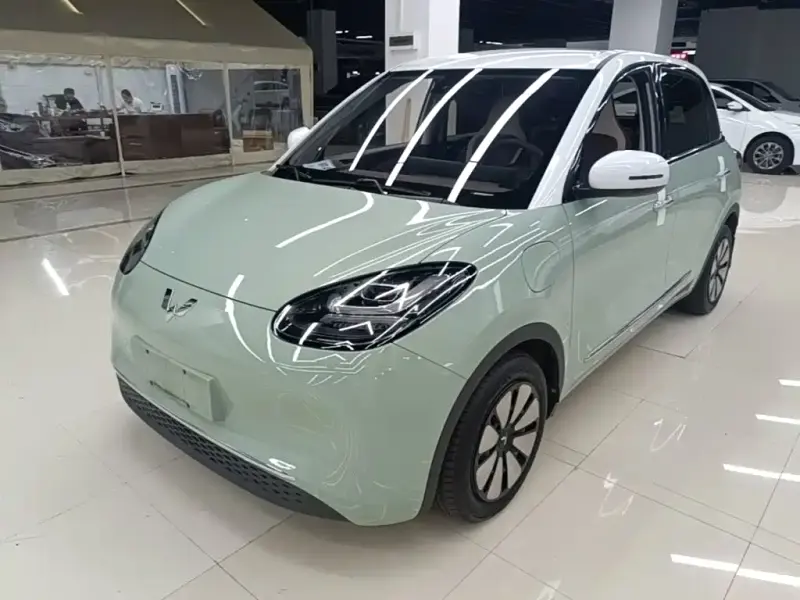 Wuling Bingo, 2023