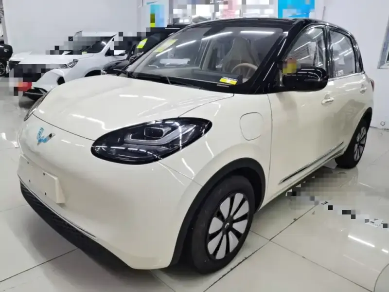 Wuling Bingo, 2026