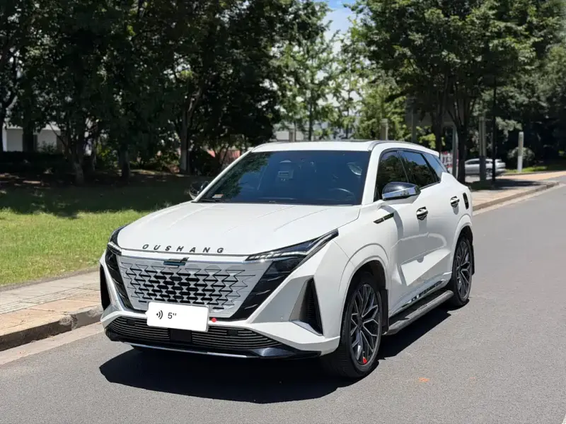 Oshan Oushang Z6, 2023